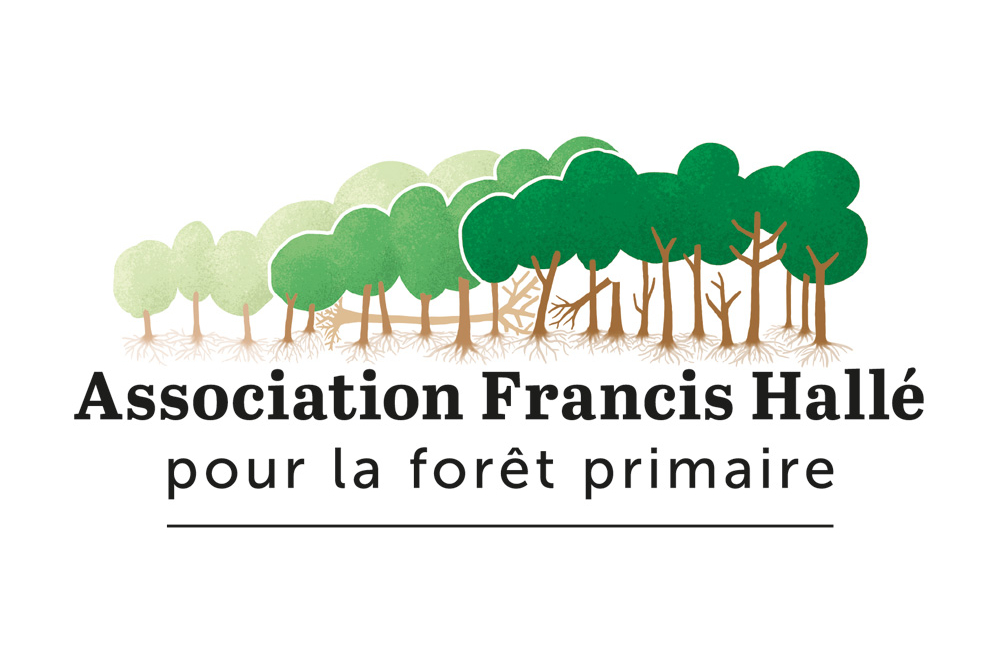 L’agence adhère à l’association Francis Hallé